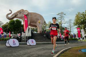 BIB: 
                            <button type="button" onclick="openModal(26529122)" class="btn btn-primary btn-sm float-right btn-popup" data-toggle="modal" data-target=".modal-high-quality">
                        <i class="fas fa-shopping-cart"></i> Add to Cart
                    </button>
                                            <button type="button" onclick="isThisMe(26529122, true)" class="btn btn-success btn-sm float-right btn-popup btn-isme hidden" data-toggle="tooltip" data-placement="bottom" title="นี่คือรูปของคุณใช่ไหม คลิกที่นี่เพื่อเอาเข้าอัลบั้ม">
                        <i class="fas fa-plus"></i> Add to album
                    </button>
                    <button type="button" onclick="isThisMe(26529122, false)" class="btn btn-warning btn-sm float-right btn-popup btn-isnotme hidden">
                        <i class="fas fa-ban"></i> Remove from album
                    </button>